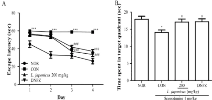 Fig.  4.  Effect  of  L.  japonicus  on  the  passive  avoidance  test  using  scopolamine  (1  mg/kg,  i.p)-induced  memory  impairment  mice