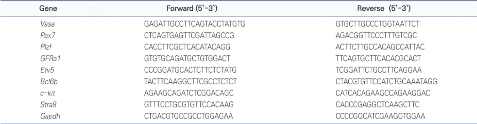 Table 1.  The sequence of primers for qRT-PCR analysis