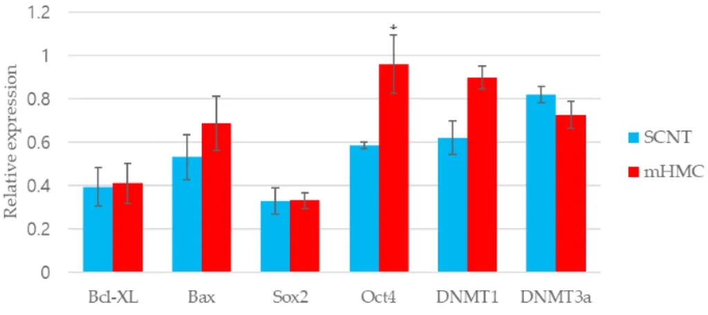 Fig. 7.  Relative mRNA abundance for blastocyst stage embryos in SCNT (left) and mHMC (right) groups