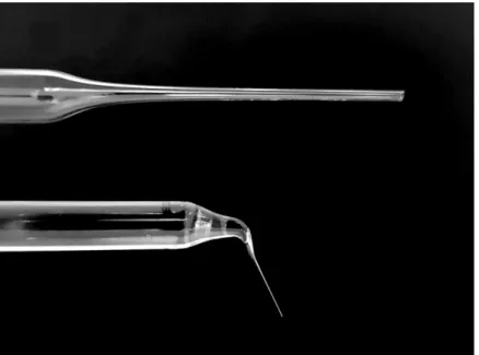 Fig. 2.  Comparison of commercial pasteur pipette (above) and aspiration pipette (below) for mHMC  enucleation