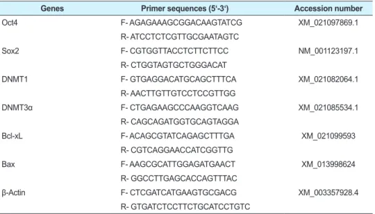 Table 1.  Primers used for reverse transcription PCR