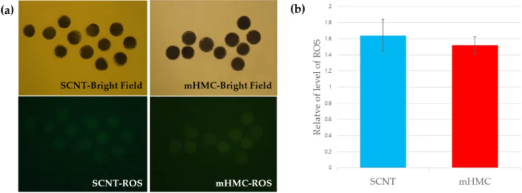 Table 5.  Comparison of fusion and embryonic developmental rates of oocytes produced using conventional SCNT or modified HMC