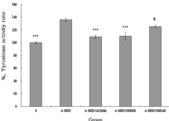 Fig. 6. Inhibitory effects of SMSRR, SMSAR and α-MSH on tyrosinase  activity in B16F10 cells