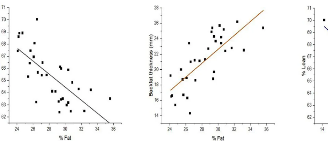 Fig. 1.  Graphs of linear regression analysis of body composition in live finishing pigs (Experiment 1).