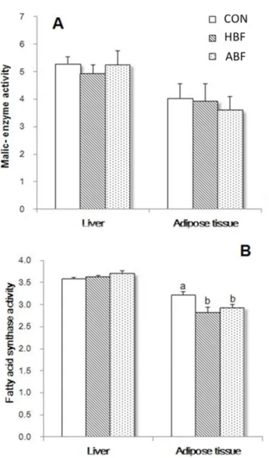 Fig. 1. Effects of CON, HBF, and ABF on the malic enzyme (A) and fatty acid synthase (B) activities in  the liver and adipose tissue of rats at 4th week feeding period