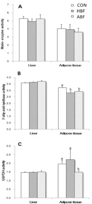Fig. 2. Effects of CON, HBF, and ABF on the malic enzyme (A), fatty acid synthase (B), and glucose-6- glucose-6-dehydrogenase (C) activities in the liver and adipose tissue of rats at 8th week feeding period