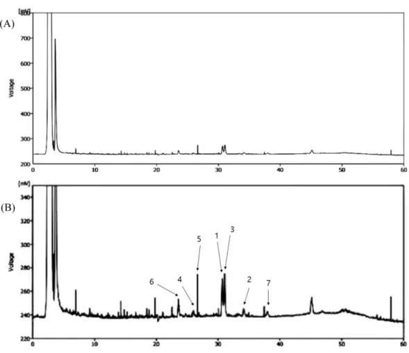 Fig. 4  HPLC chromatograms of WEB (A) and expended WEB (B)