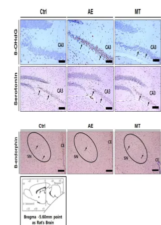 Table  1.  The  Image  Analysis  for  8-OHdG,  serotonin  in  mouse  brain