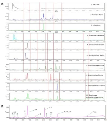 Fig. 4. HPLC pattern analysis of the constituents of MOK extract. (A)  Each  constituent  herb  peak:  1