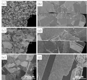 Fig.  5  Optical  microstructure(a,  b,  d,  e)  and  schematic  illustration(c,  f)  of  deformation  with bonding condition; (a-c) 800℃, 90min,  3MPa and (d-f) 900℃, 90min, 7MPa