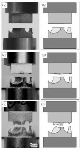 Fig. 10  Fracture surface of A-type (a) Macro SEM  image  of  plate  side;  (b)  A1  region  in  (a);  