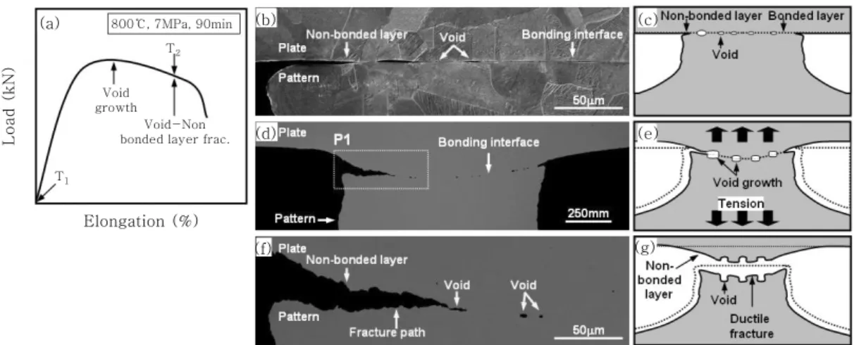 Fig.  12  Load-elongation  curve  (a)  to  failure;  (b),  (d),  (f)  microstructure  of  joints  bonded  at  800℃  for  90min in 7MPa; (c), (e), (g) schematic illustration of B-type fracture procedure