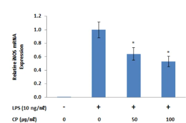 Fig.  2.  Effects  of  CP  on  LPS-stimulated  NO  production  and  iNOS  protein  and  mRNA  expression  in  RAW  264.7  cells