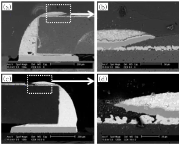 Fig. 8  Cross-sectional SEM micrographs of electro-  plating  layer  lift-off  after  reliability  tests: 