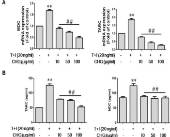 Fig. 2. Effects of  CHG on Th2 chemokine expression in HaCaT cells.