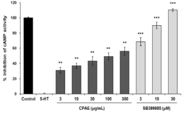 Fig. 1. The effect of CPAE on 5-HT 6 receptor–related cAMP activity in  human astrocytoma 1321N1  cells  stably expressing the human 5-HT 6