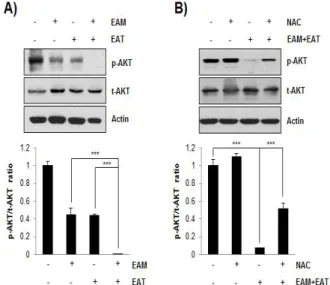 Fig.  4.  Effects  of  EAM  and  EAT  on  the  phosphorylation  of  AKT  in  H1299  cells