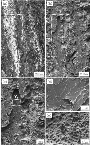 Fig.  5  Optical  micrographs  (a)  of  the  area  denoted  as  SL  in  Fig.  4  (a),  SEM  micrographs  (b)  enlarged in the zone denoted by □ in (a) (a) 200㎛ 200㎛ 10㎛ 10㎛50㎛(b)(c)(d)(e)