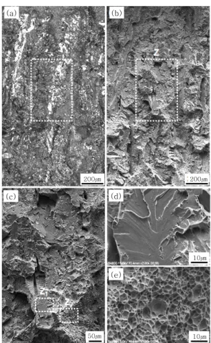 Fig.  9  Optical  micrographs  (a)  of  the  area  denoted  as  D  in  Fig.  4  (e),  SEM  micrographs  (b)  of  same location on (a), (c) enlarged W in (b),  (d) and (e) magnified W 1  and W 2  in (c)