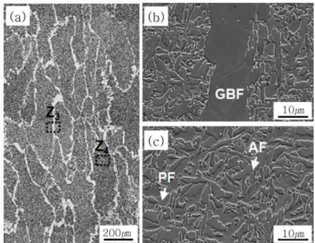 Fig.  13  Optical  micrographs  of  longitudinal  section  (a)  of  the  range  denoted  as  A  in  Fig
