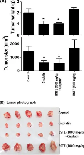 Fig. 2. Effects of Banhasasim-tang extract (BSTE) on cisplatin-induced  small intestin toxicity (A) and WBC decrease in C57BL/6 mouse
