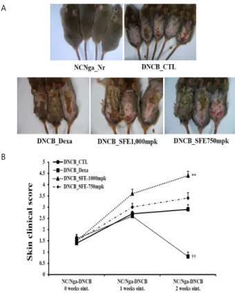 Fig.  4.  Effects  of  DNCB,  SFE  induced  NC/Nga  mice  on  the  plasma  levels  of  IgE