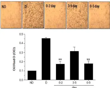 Fig.  1.  Effects  of  Albizziae  Cortex  Extracts  (ACE)  on  cytotoxicity  in  OP9  cells