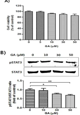 Fig.  3.  Comparative  effects  of  GA  and  its  derivatives  on  STAT3  activation  in HCT116 human colon cancer cells