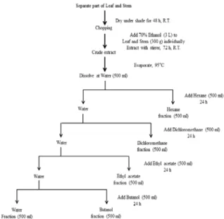 Fig.  1.  Schematic  diagram  for  preparation  of  crude  extract  and  fractionation  of  Sasa  Borealis .