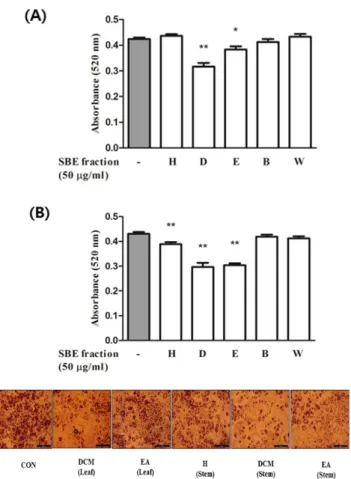 Fig.  4.  Western  blot  image  representing  iNOS  and  COX-2  inhibitory  effect  of  fractions  from  Sasa  Borealis   leaf  and  stem  extraction