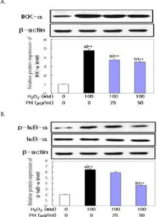 Fig. 5. Effect of Prunellae Herba (PH) on PGE 2  Level in LLC-PK1 Cells. 