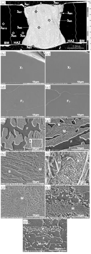 Fig.  2  Cross-section  of  bead  (a),  (b)  and  EPMA  analysis  results  showing  distribution  of  Al  element (c), (d) with coated thickness; (a),  (c): 20㎛  (b), (d) 30㎛ (a)(b) (c)(d)(e)(f)(g)(h)(i)(j)(k)(l)