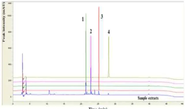 Fig.  2.  Comparative  chromatogram  of  isoflavones  in  standard  solution  and  Douchi  extract