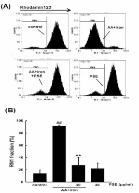 Fig.  3.  Protection  of  mitochondria.  (A)  Mitochondrial  membrane  permeability (MMP)
