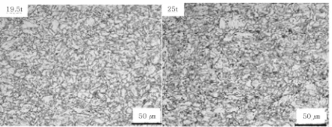 Fig. 5  Microstructure of quarter position 