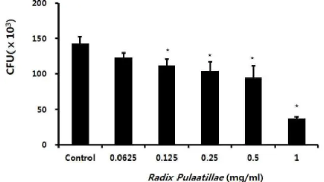 Fig.  2.  Effect  of  R.  pulsatillae  on  Streptococcus  mutans  growth  and  adherence  to  saliva  coated  hydroxyapatite  beads