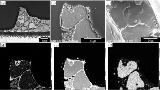 Fig.  6  Cross  section  (a)  denoted  as  □ in  (b)  of  Fig.  4,  SEM  micrograph  (b),  fractograph  of  Ni201(c)  and  EPMA  mapping  results  showing  distribution  of  element;  (d)  B,  (e)  Ni,  (f)  Si  [brazing  condition  :  1050℃-1600s]   시편의 파