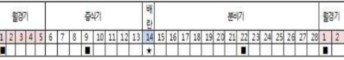 Fig.  2.  Selected  time  interval  for  measurement.