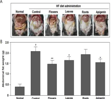 Fig.  4.  Effect of water  extracts  from  different organs of C. japonicum  var. ussuriense on the inhibition of abdominal fat in C57BL/6 obesity  mice  administrated  with  high  fat  (HF)  diet