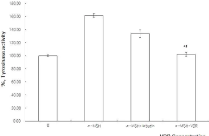 Fig.  6.  Inhibitory  effects  of  VDR  and  α-MSH  on  tyrosinase  activity  in  B16F10 cells