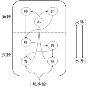 Fig . 6. C irculatin g P atte rn o f D efen se Q i at nig h t. 결 론 는 의 에서 생성되어 로 순환하며 인체를衛氣水穀精氣脈外 護 하는 로 인식하고 있으나 어느 부위에서 어떻게, 로 나가는衛氣脈外 지 명확하지 않으며 , 脈外 를 운행한 후의 衛氣 行路 에 대하여 설명 하지 않고 있다