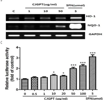 Fig . 3 . A nti-o xid ative effects o f C JG P T o n R A W 264 .7 cells. (A ) R A W 2 6 4.7 cells w e re treated w ith vario u s am o u n ts o f C JG P T w ate r e xtracts fo r 1 6 h 