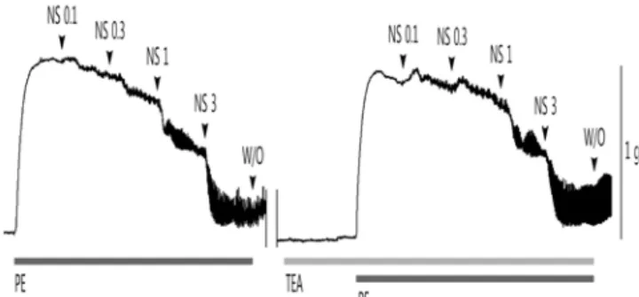Fig . 2 . Effects o f N S extract o n P E-p reco n tracted rab b it co rp u s cavern o sum in the ab sen ce an d p resen ce o f IM (n = 1 1)