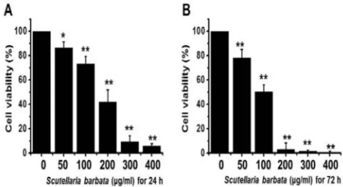 Fig . 1. Effect o f Scu tellaria b arb ata extract o n cyto to xicity in A G S cells.
