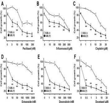 Fig . 6. Th e effe ct o f Scu tellaria b arb ata extract o n transien t re cep to r p o ten tial m elastatin 7 (TR P M 7) ch an n el o n A G S and o verexp re ssed system in h u m an em b ryo n ic kid n ey (H EK ) ce lls