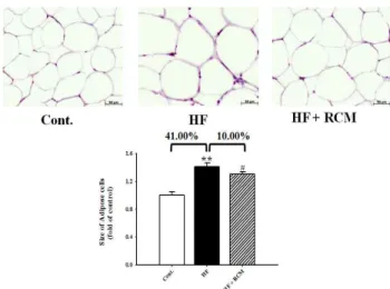 Fig.  5.  Representative  microscopic  photographs  of  H&amp;E  stained  section  of  the  epididymal  fat  pads  in  HF  diet  rats