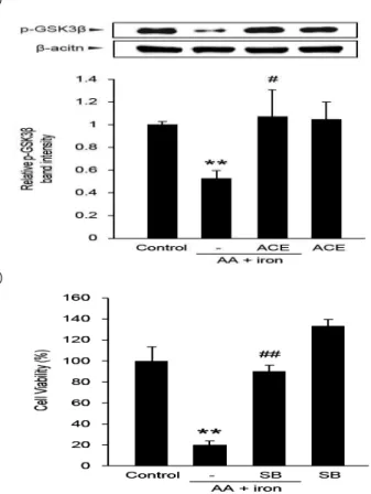 Fig.  5.  GSK3β  phosphorylation  by  Akebiae caulis   extract  (ACE).  A) The  time-course  effect  of  ACE  on  GSK3β  phosphorylation