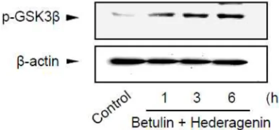 Fig.  6.  Inhibition  of  AA+iron-induced  mitochondrial  dysfunction  by  betulin  and  hederagenin