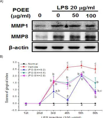 Fig.  2. Effects of POEE, GHEE, and mixture on MMP1, 8  expression  in  human  gingival  fibroblast  and  the  severity  of  LPS-mediated  periodontitis
