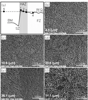 Fig. 9  Optical (a) and SEM micrographs (b~d) in  fusion  zone  of  spot  welds.  (b)  X  (382.9  ±  5.3  Hv.),  (c)  Y  (376.8  ±  4.8  Hv.),  (d)  Z  (394.3 ±  6.8 Hv.)  [Welding current : 7.4 (kA)]